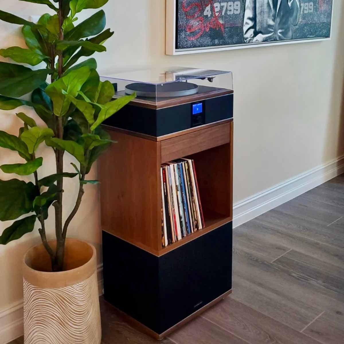 Andover Audio ONE Record Player with Songbird NA