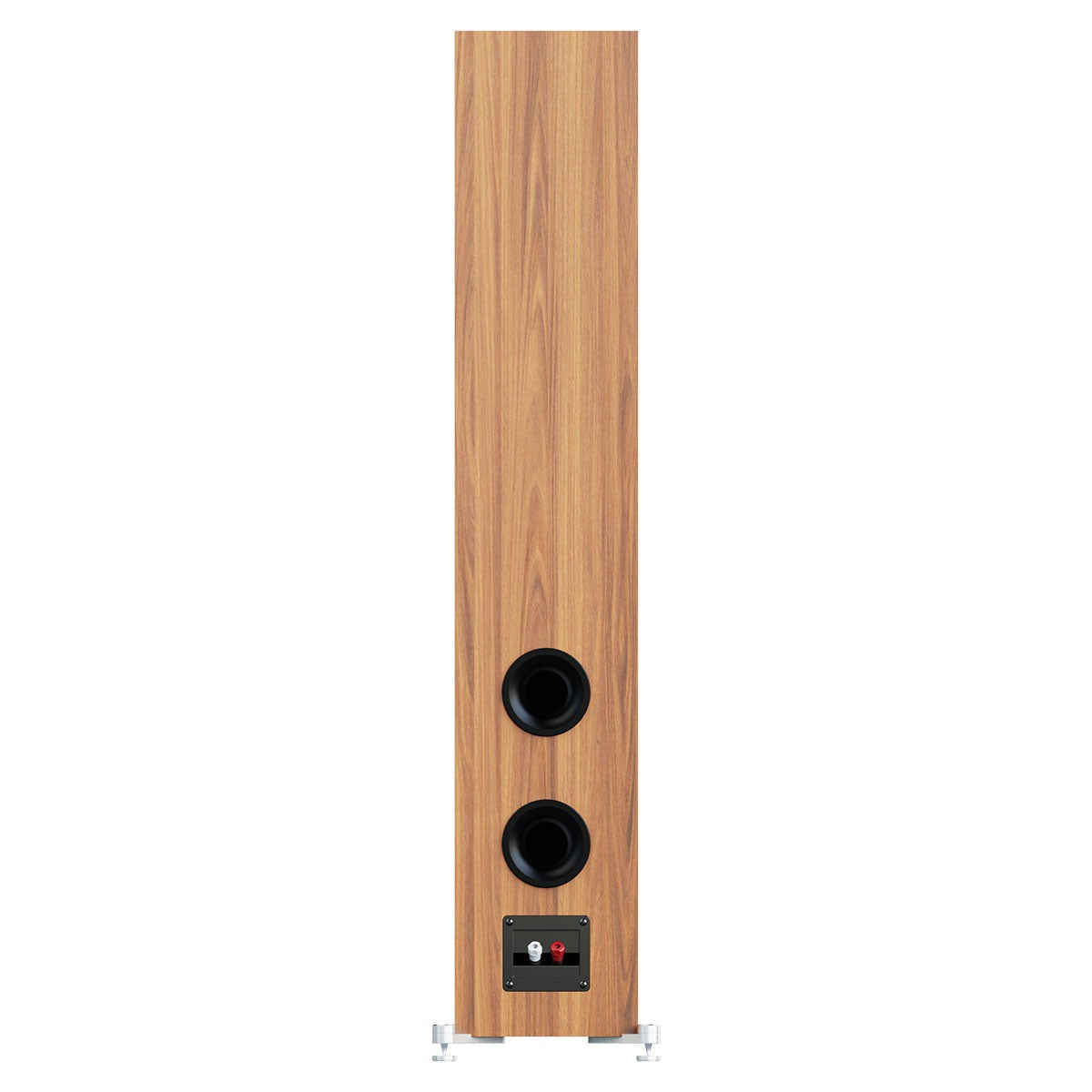 ELAC DEBUT 3.0 - 6.5" Floor Speaker - Black - Each