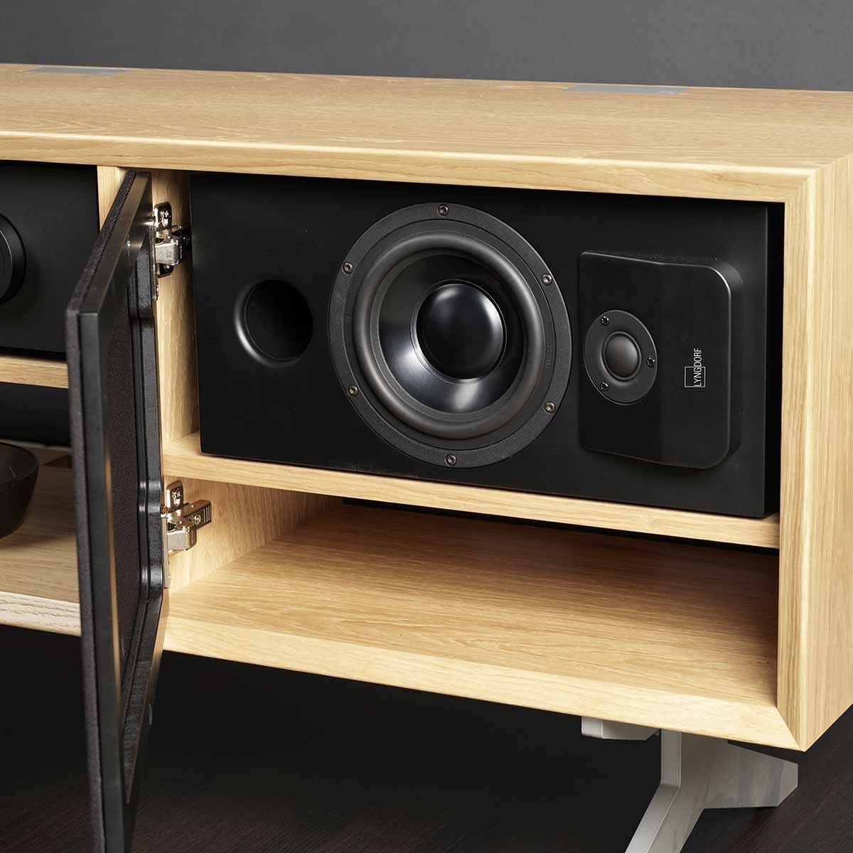 Lyngdorf CS-1 Full Range Speaker - Matte Black