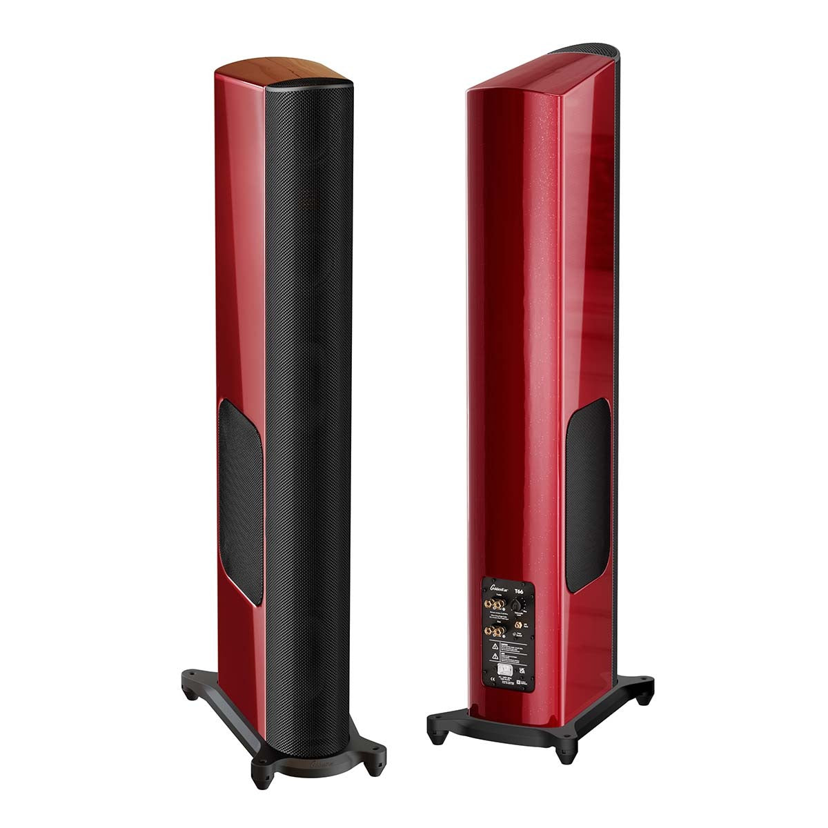 GoldenEar T66 Floorstanding Loudspeaker - Each