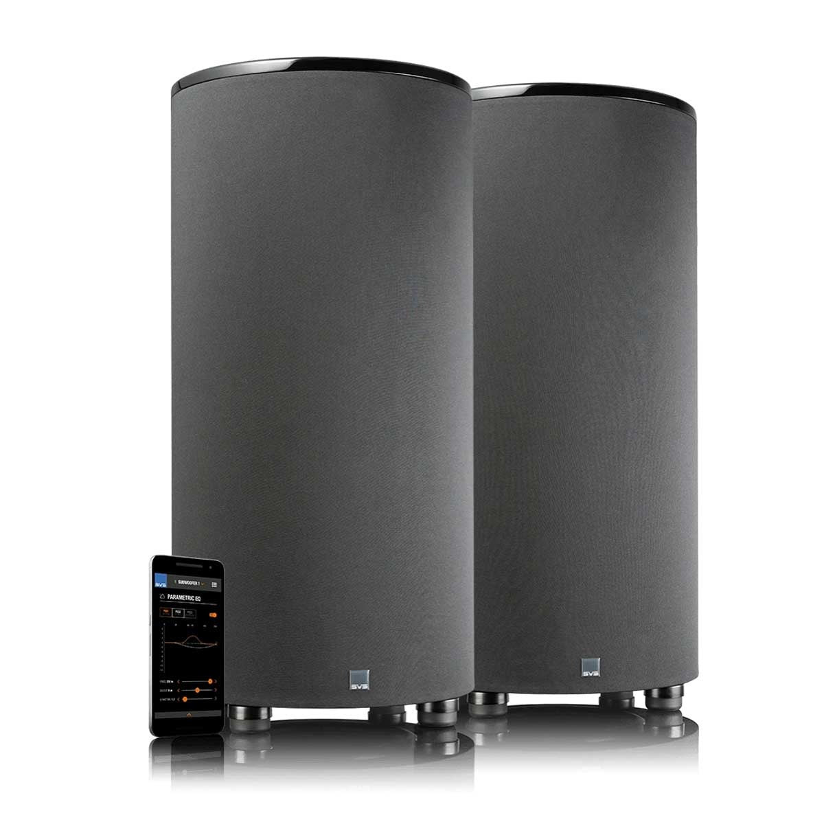 SVS Dual PC-2000 Pro Subwoofer