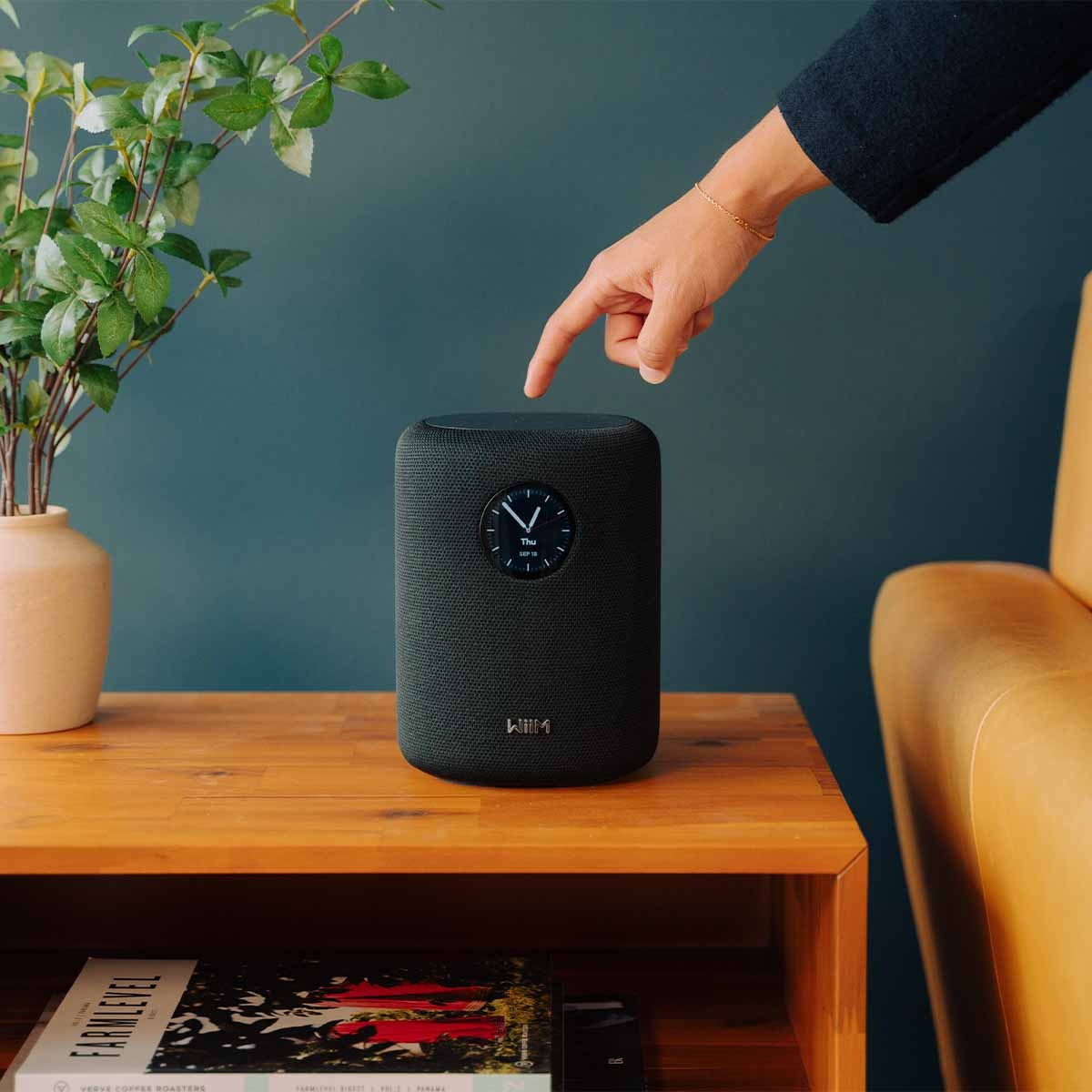WiiM Sound Smart Speaker