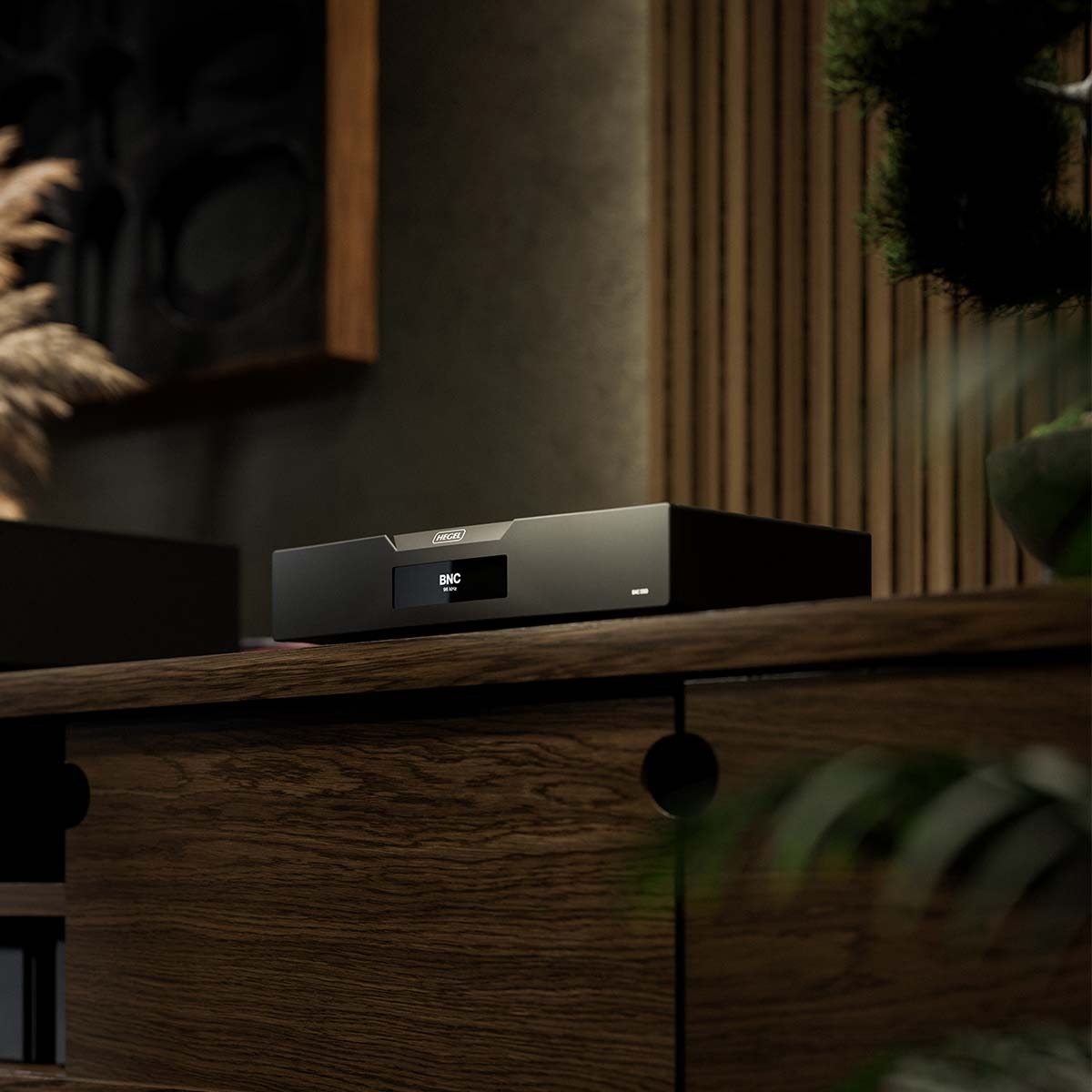 Hegel D50 The Raven Reference DAC