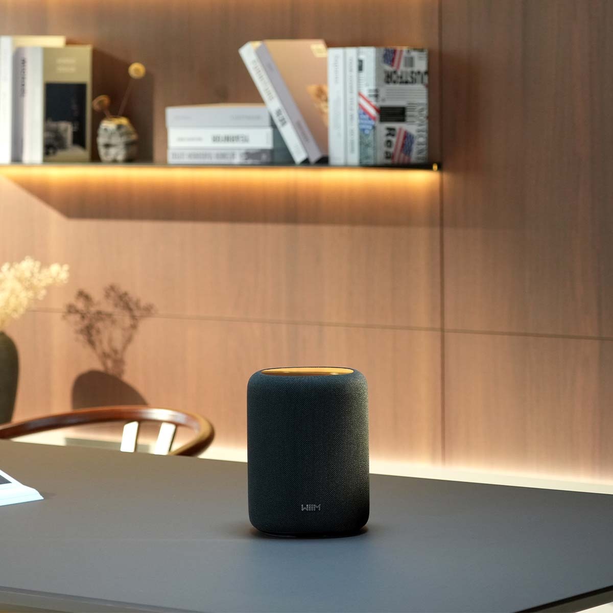 WiiM Sound Lite Smart Speaker