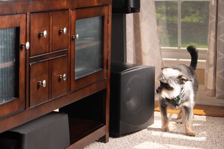 GoldenEar ForceField 30 - 8" Compact Subwoofer - Black