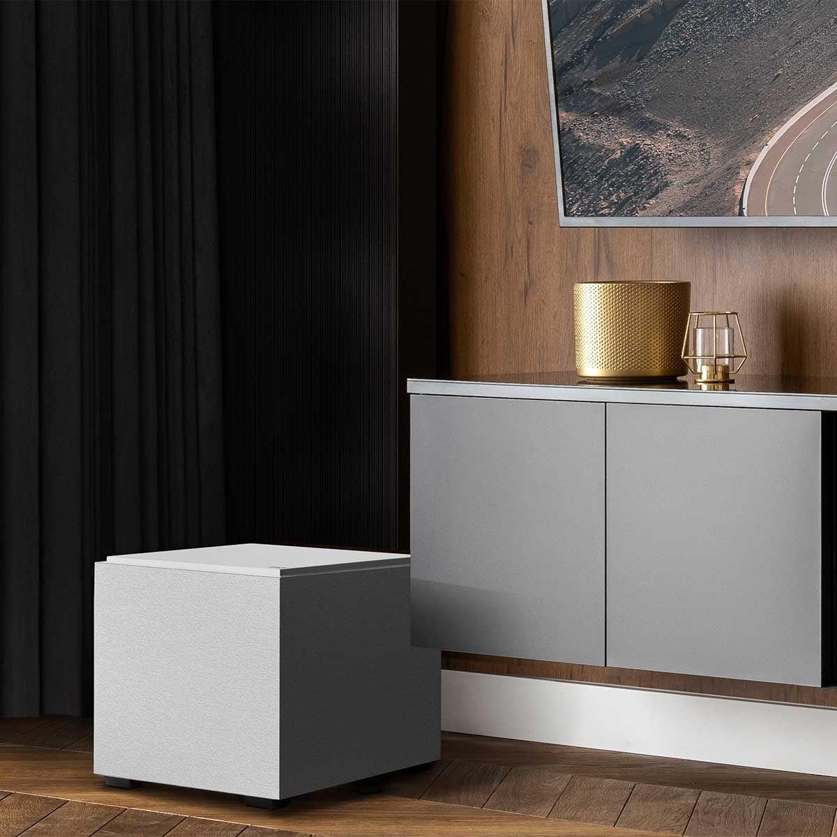 Definitive Technology Descend DN10 Ultra-Performance 10" Subwoofer