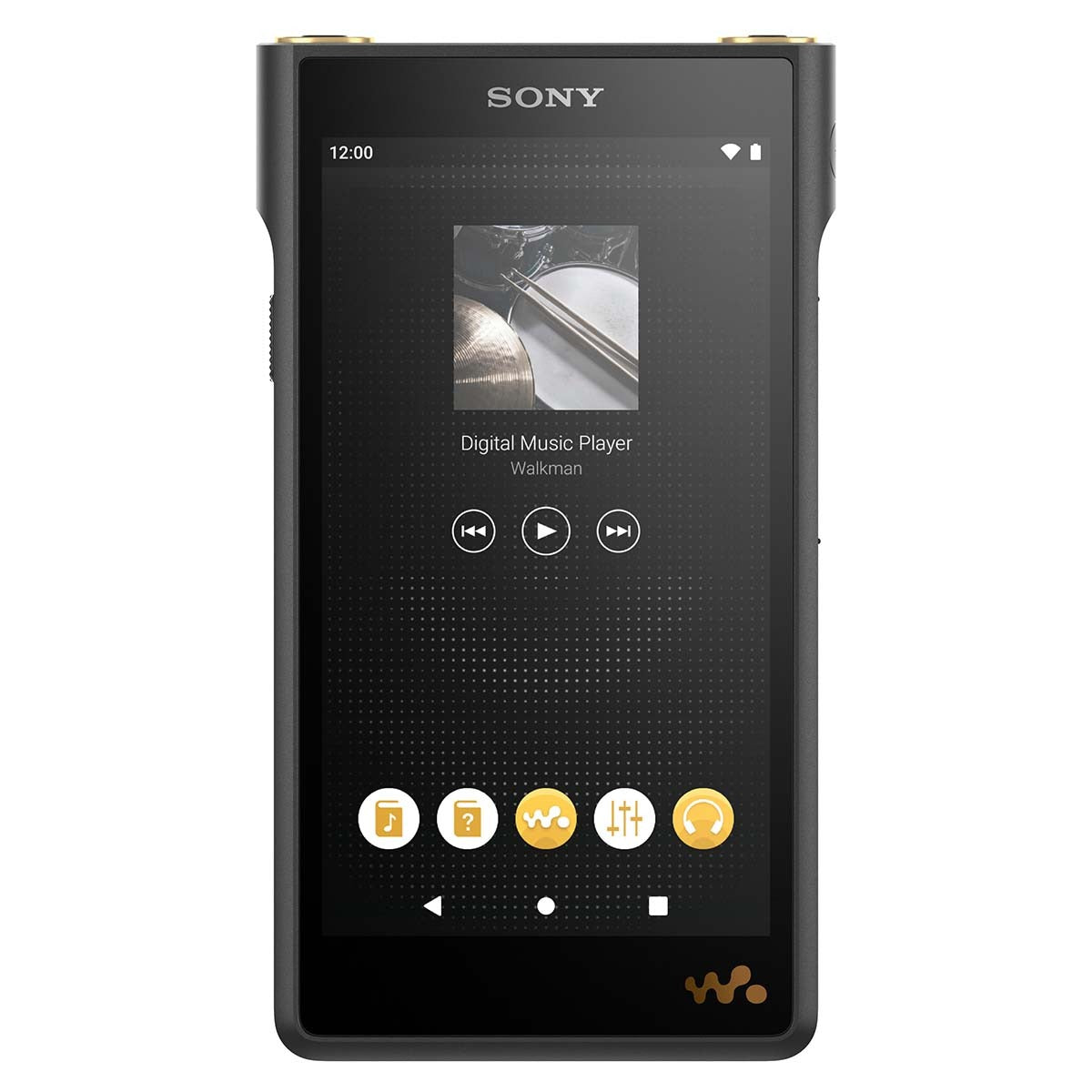 Sony NWWM1AM2 WM1AM2 Walkman Digital Music Player
