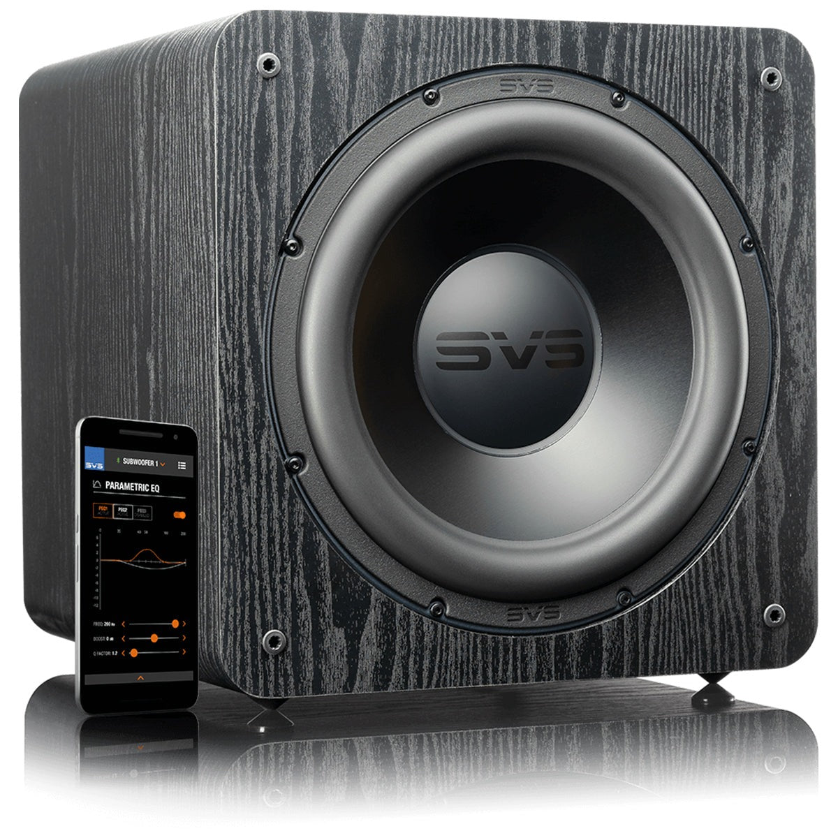 SVS Dual SB-2000 Pro Subwoofer