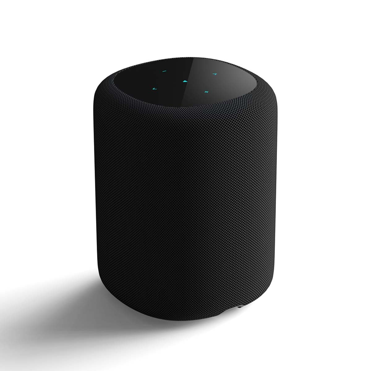 WiiM Sound Smart Speaker