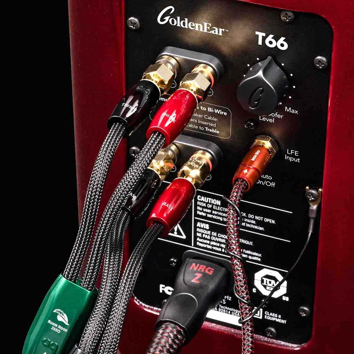 GoldenEar T66 Floorstanding Loudspeaker - Each