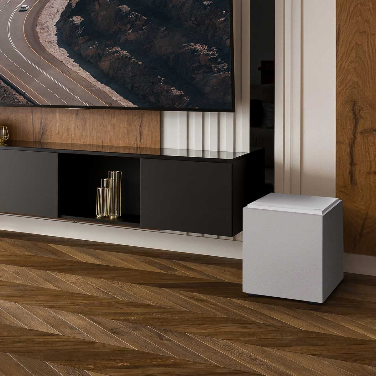 Definitive Technology Descend DN10 Ultra-Performance 10" Subwoofer
