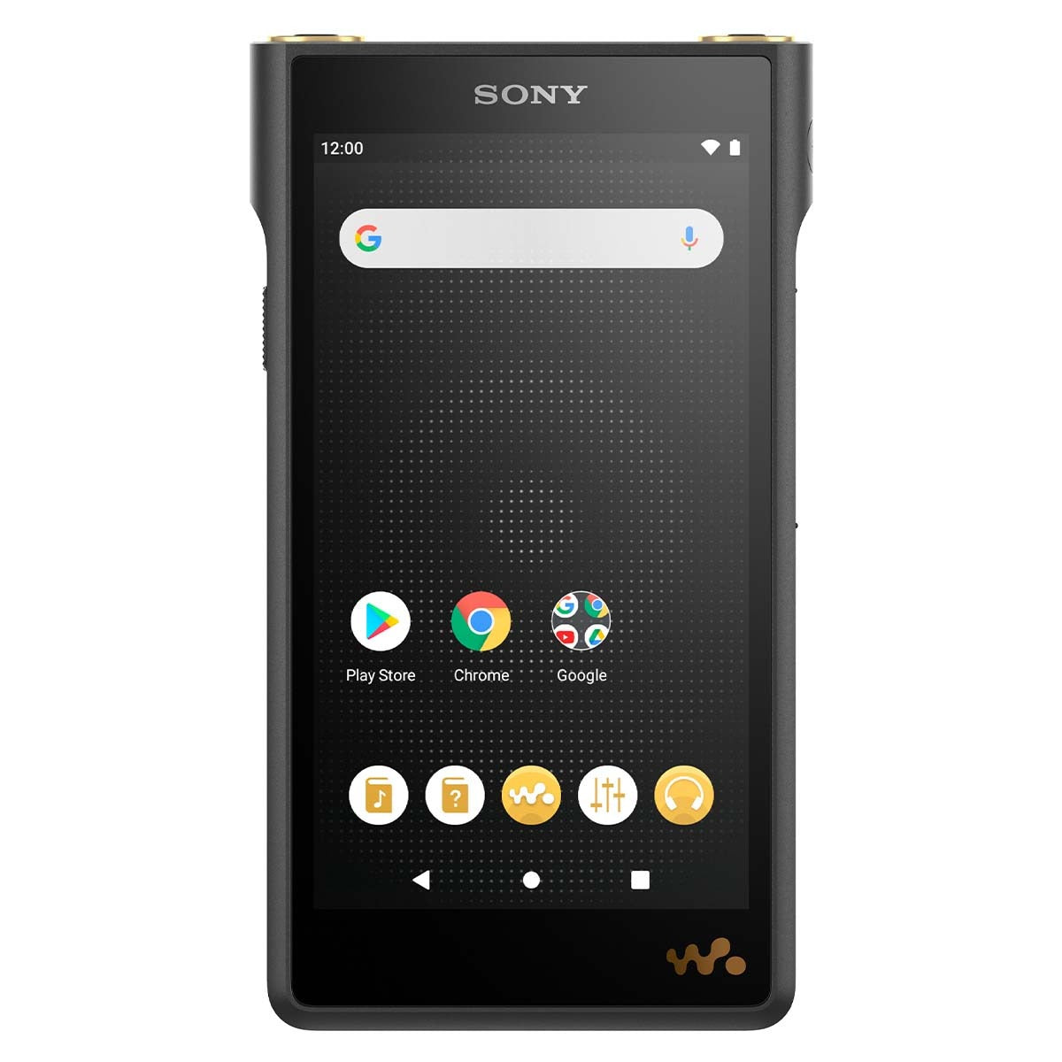 Sony NWWM1AM2 WM1AM2 Walkman Digital Music Player