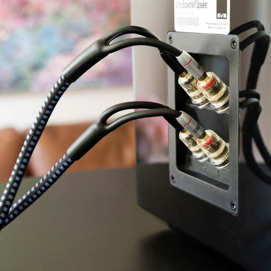 SVS SoundPath Ultra Bi-Wire Speaker Cable