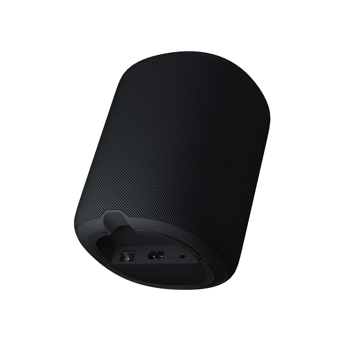 WiiM Sound Smart Speaker