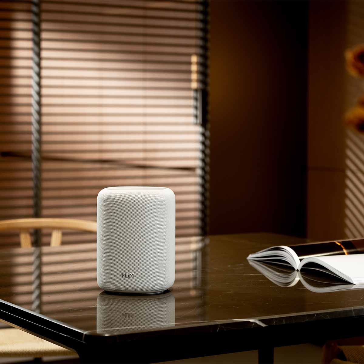 WiiM Sound Lite Smart Speaker