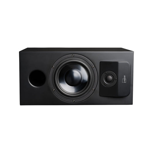 Lyngdorf CS-1 Full Range Speaker - Matte Black